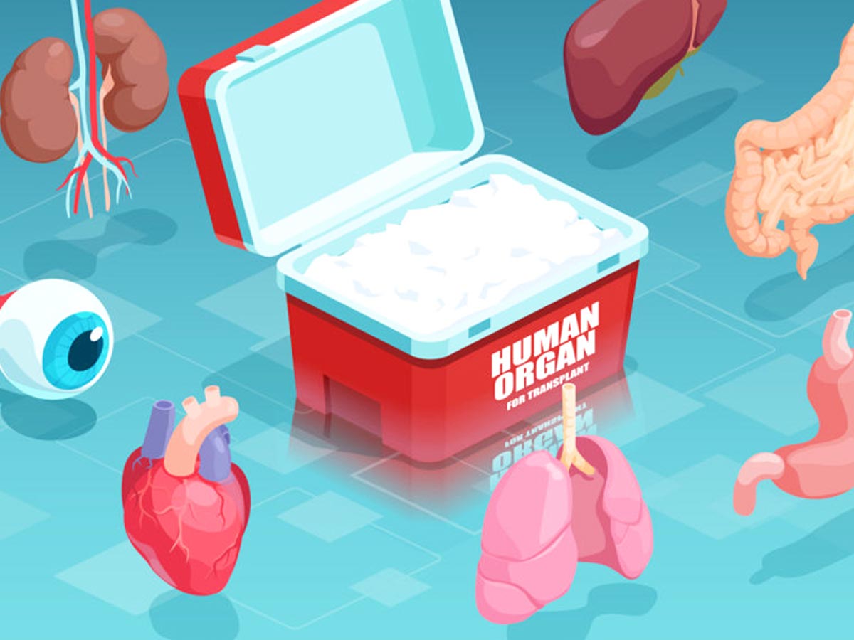 ORGAN TRANSPLANTATION